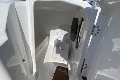 large_4211207
